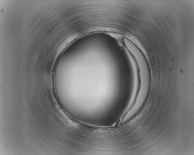 X0000065970898200603172047