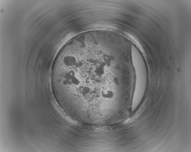 X0000065970899200603172047