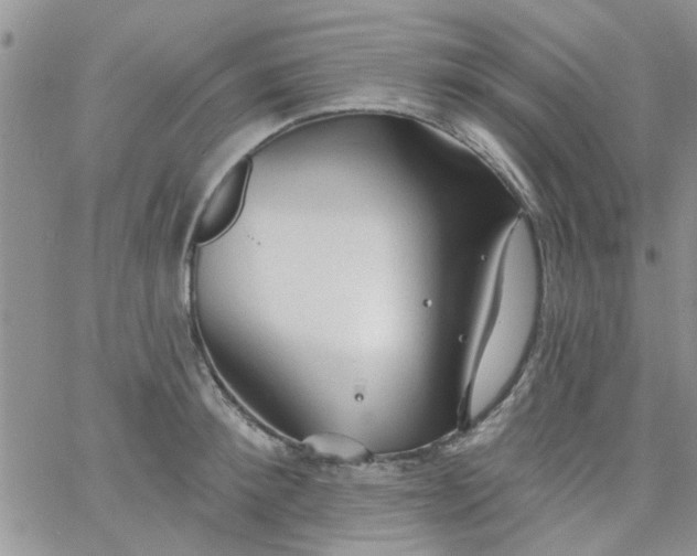 X0000065970900200603172047