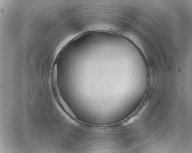 X0000065970901200603172047