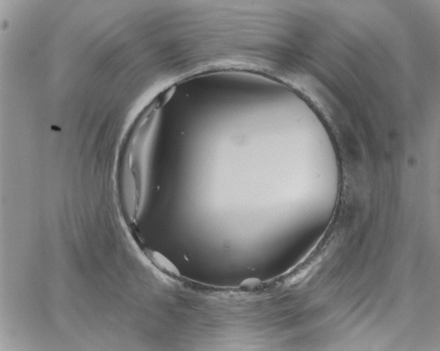 X0000065970902200603172047