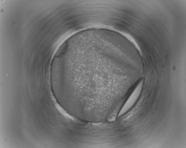 X0000065970903200603172047