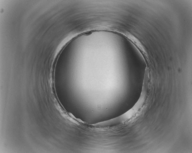 X0000065970904200603172047