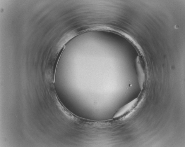 X0000065970905200603172047