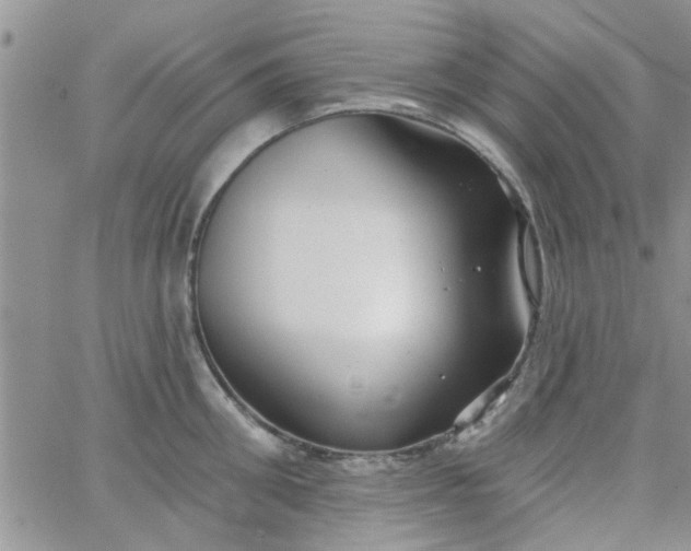 X0000065970906200603172047