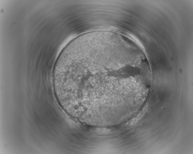 X0000065970907200603172047