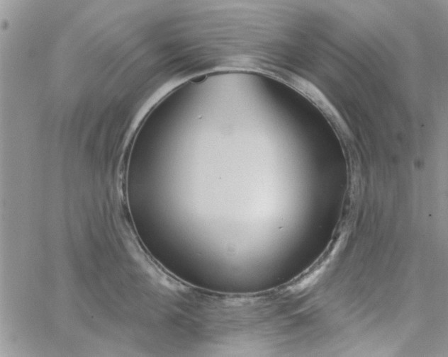 X0000065970908200603172047