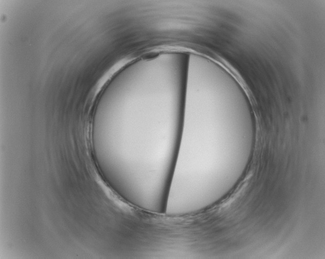 X0000065970909200603172047