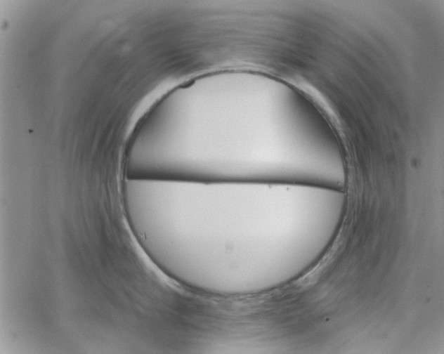 X0000065970910200603172047