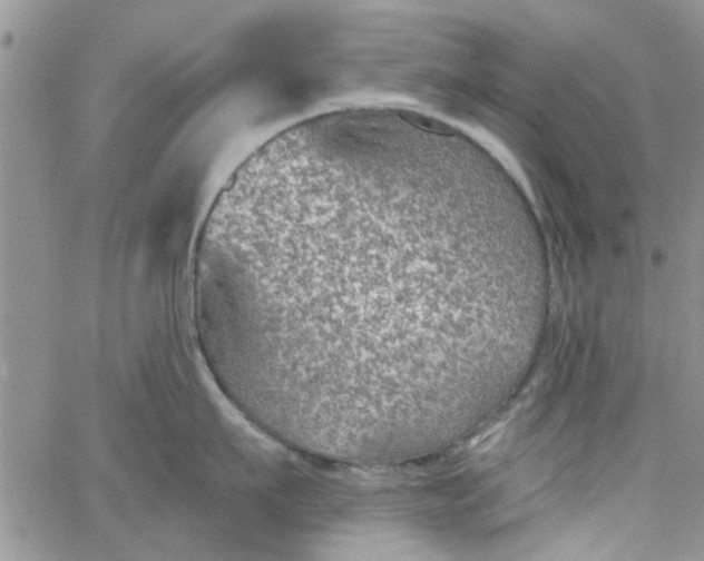 X0000065970911200603172047