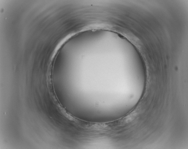 X0000065970912200603172047