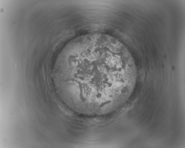 X0000065970913200603172046