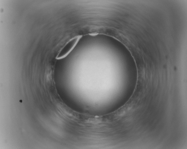 X0000065970914200603172046