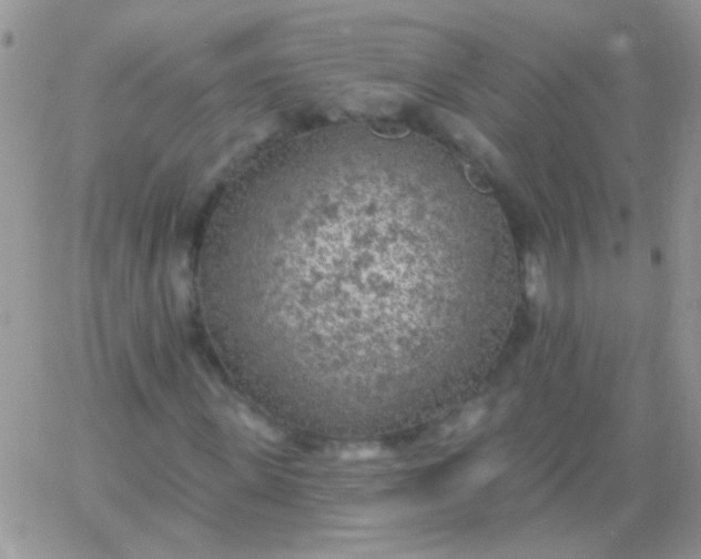 X0000065970915200603172046