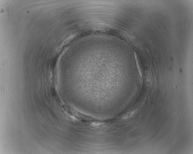 X0000065970916200603172046