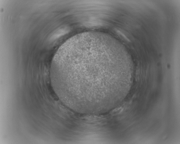 X0000065970917200603172046