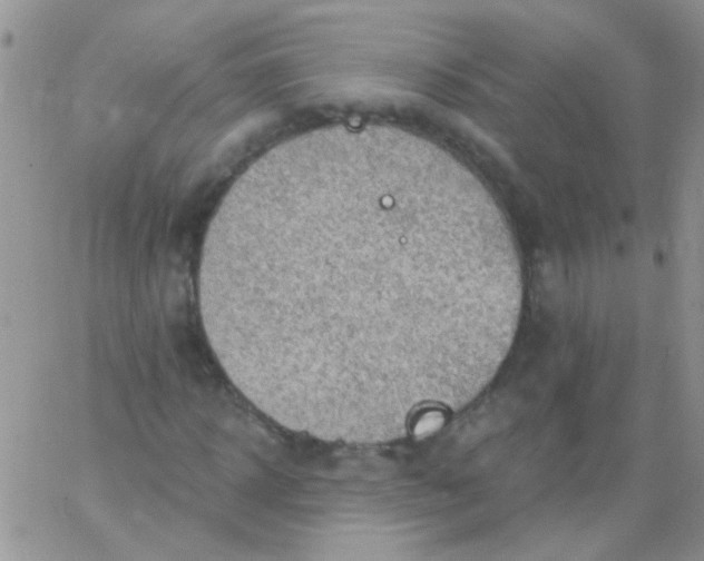 X0000065970918200603172046