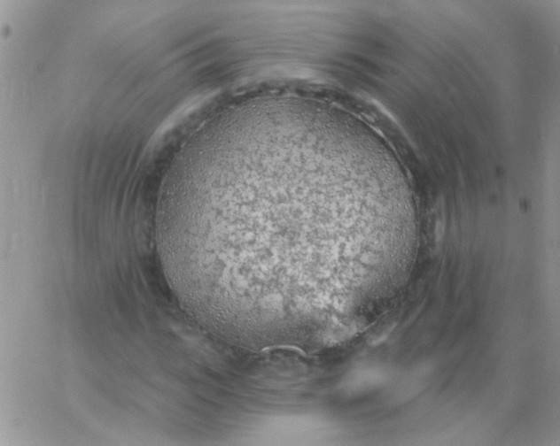 X0000065970919200603172046