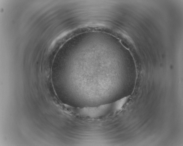 X0000065970920200603172046