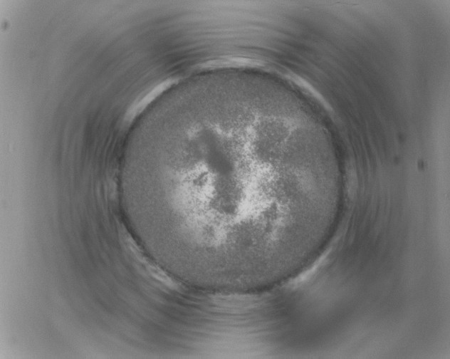 X0000065970921200603172046