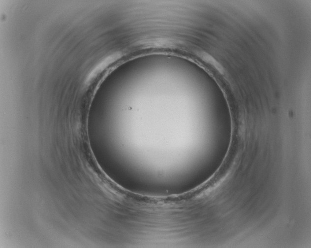 X0000065970922200603172046