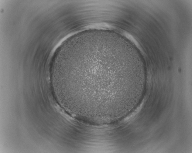 X0000065970923200603172046