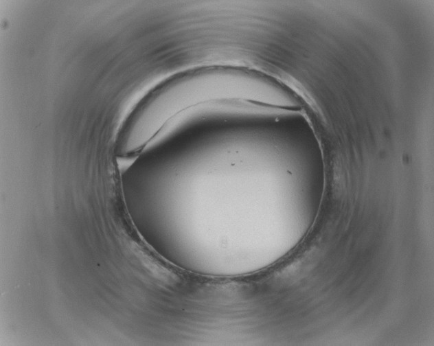 X0000065970926200603172046