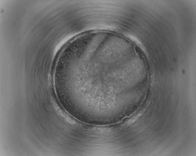 X0000065970928200603172046