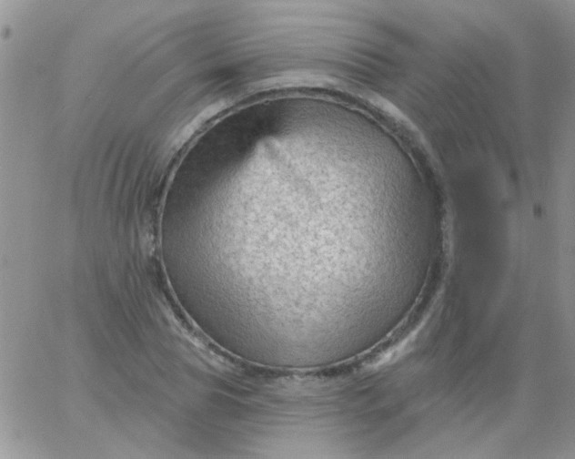 X0000065970929200603172046