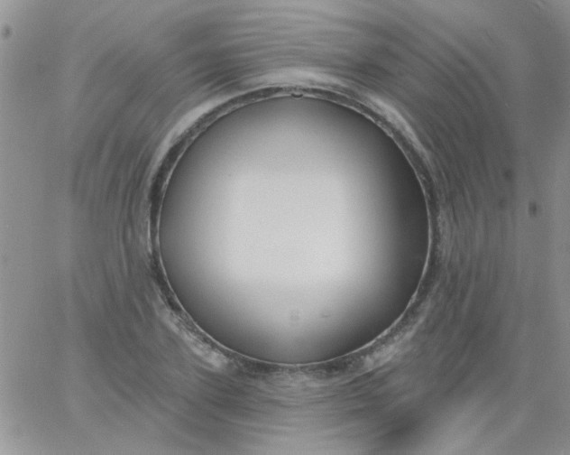 X0000065970931200603172046