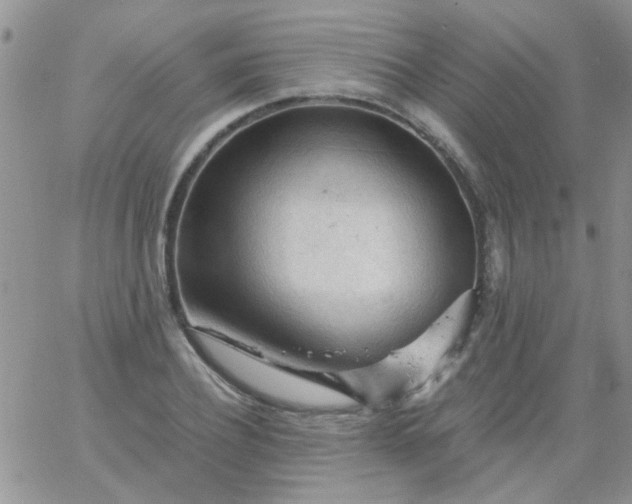 X0000065970932200603172046