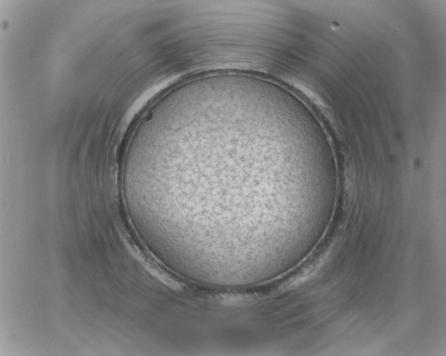 X0000065970933200603172046