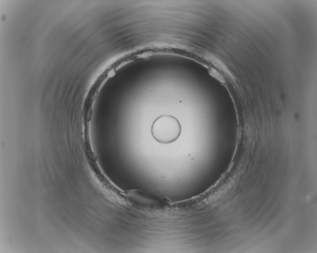 X0000065970934200603172046