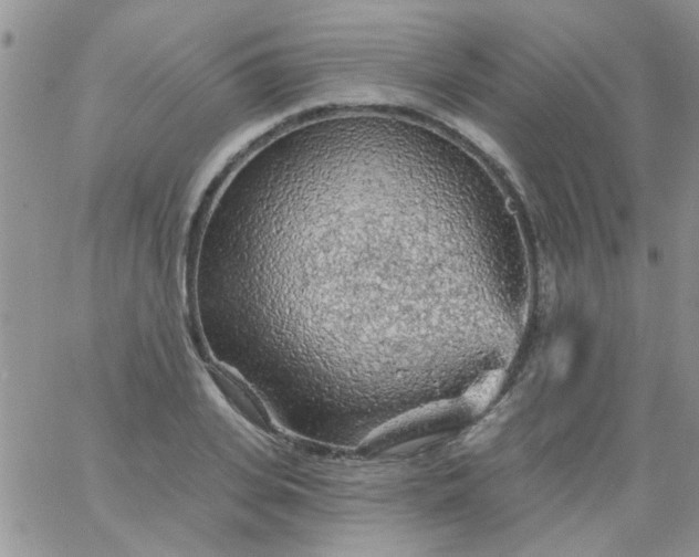 X0000065970935200603172046