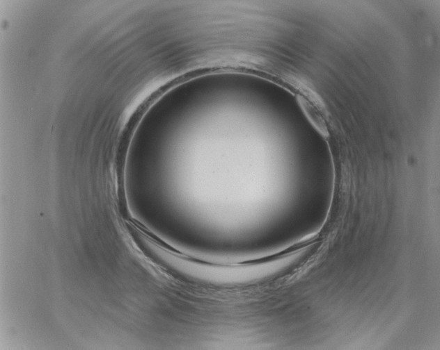 X0000065970936200603172046