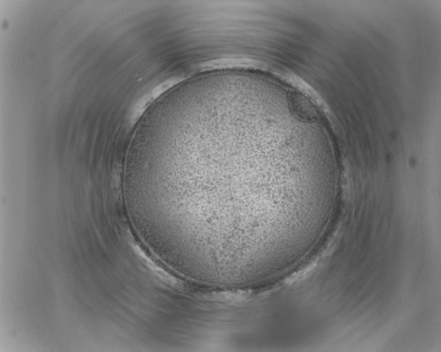 X0000065970937200603172046