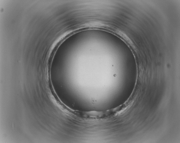 X0000065970939200603172046