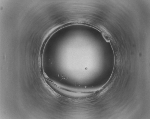 X0000065970940200603172046