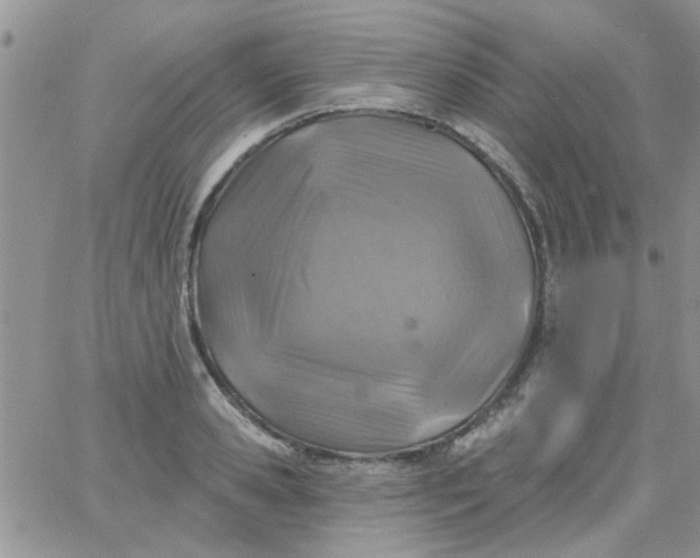 X0000065970941200603172046