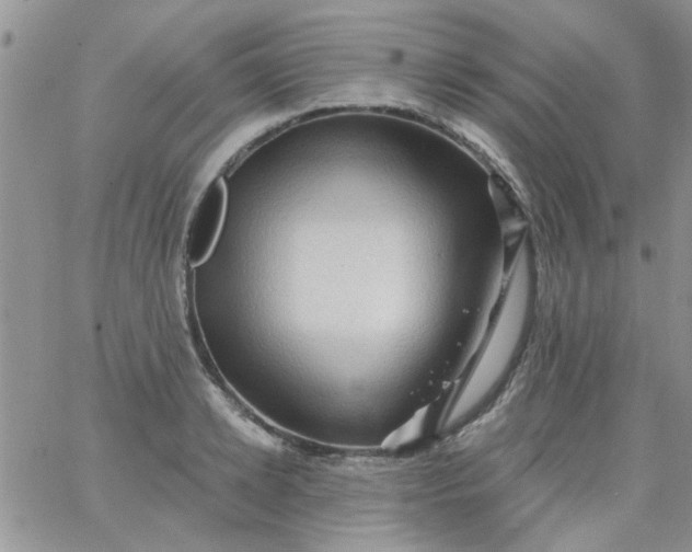 X0000065970942200603172046