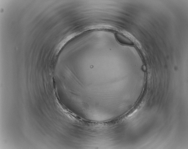 X0000065970945200603172046