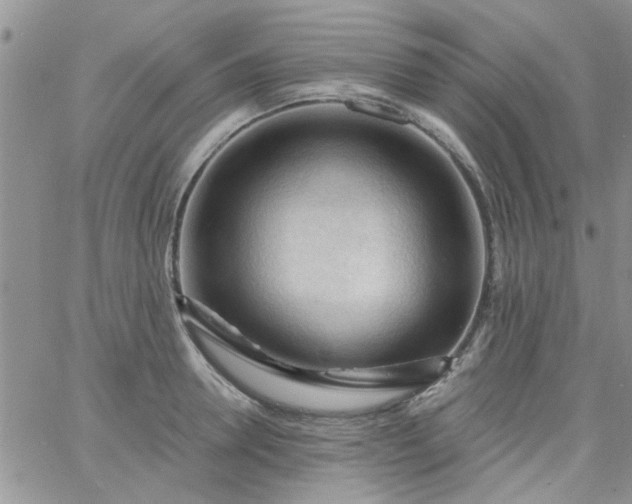 X0000065970946200603172047