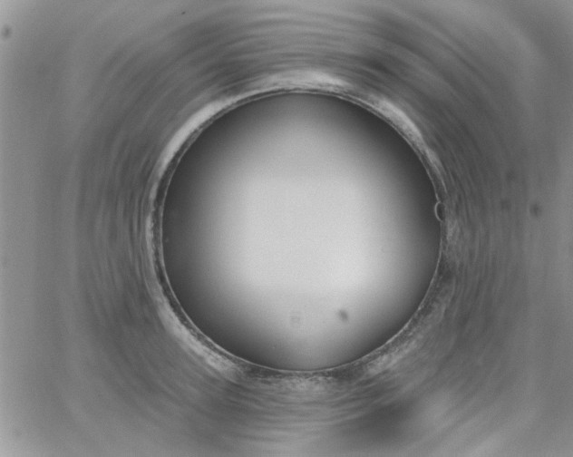 X0000065970947200603172047