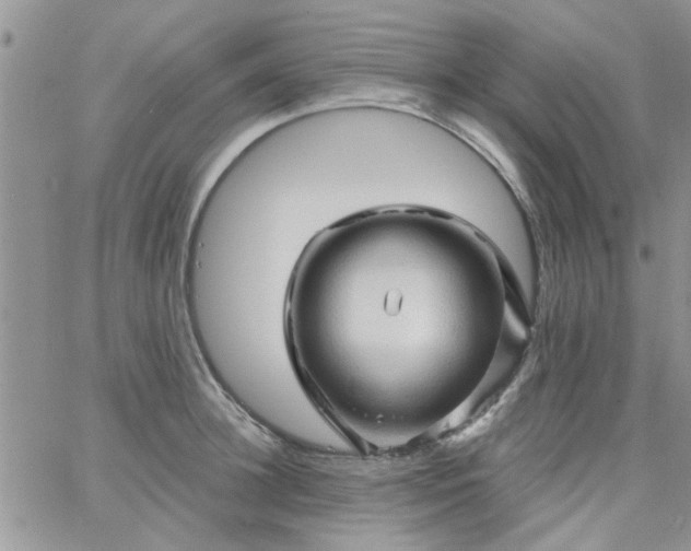 X0000065970948200603172047