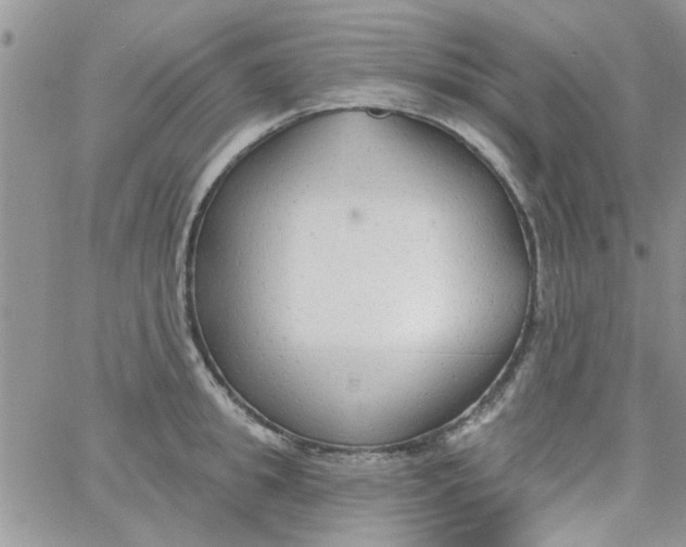 X0000065970949200603172047