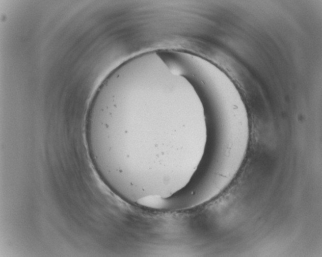 X0000065970950200603172047