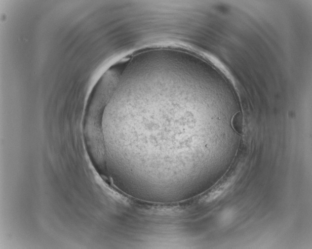 X0000065970951200603172047