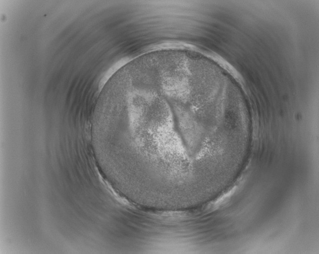 X0000065970953200603172047