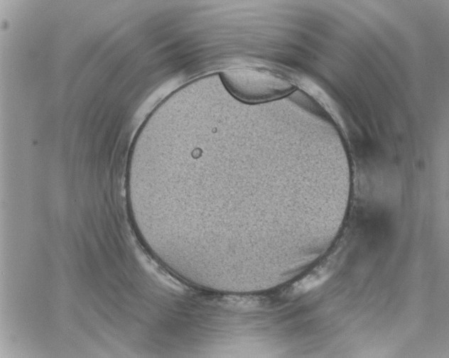 X0000065970954200603172047