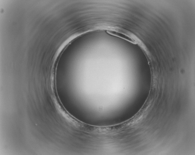 X0000065970955200603172047